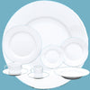 WHITE RIM UNDECORATED DINNERWARE