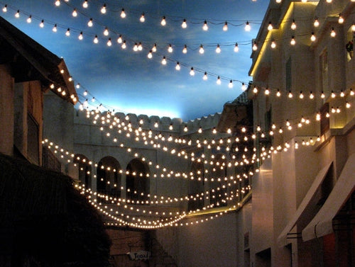 CAFE LIGHTS 50'