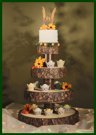 Montana Cupcake Castle