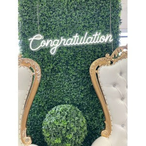 Congratulations Sign
