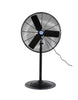 30 PEDESTAL FAN