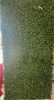 GREENERY WALL (4X8)